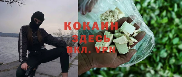 стаф Алексин