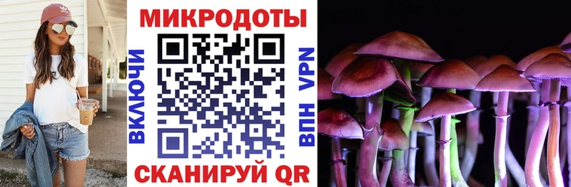 что такое наркотик  Кемь  Галлюциногенные грибы GOLDEN TEACHER 
